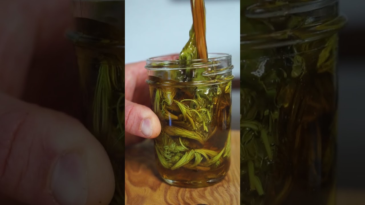 How to make fir tip infused honey