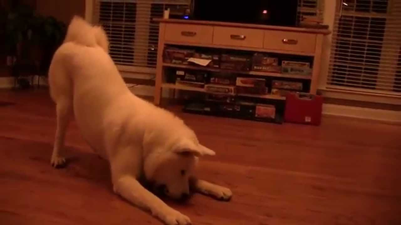 Kumo & Taichi : Let's Play with Balls