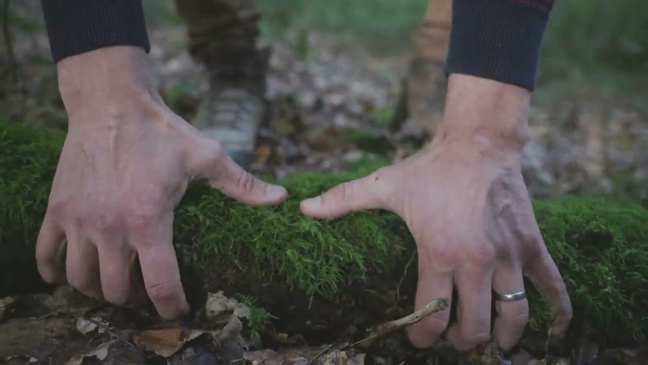 Pissebedden | Natuur en Bos
