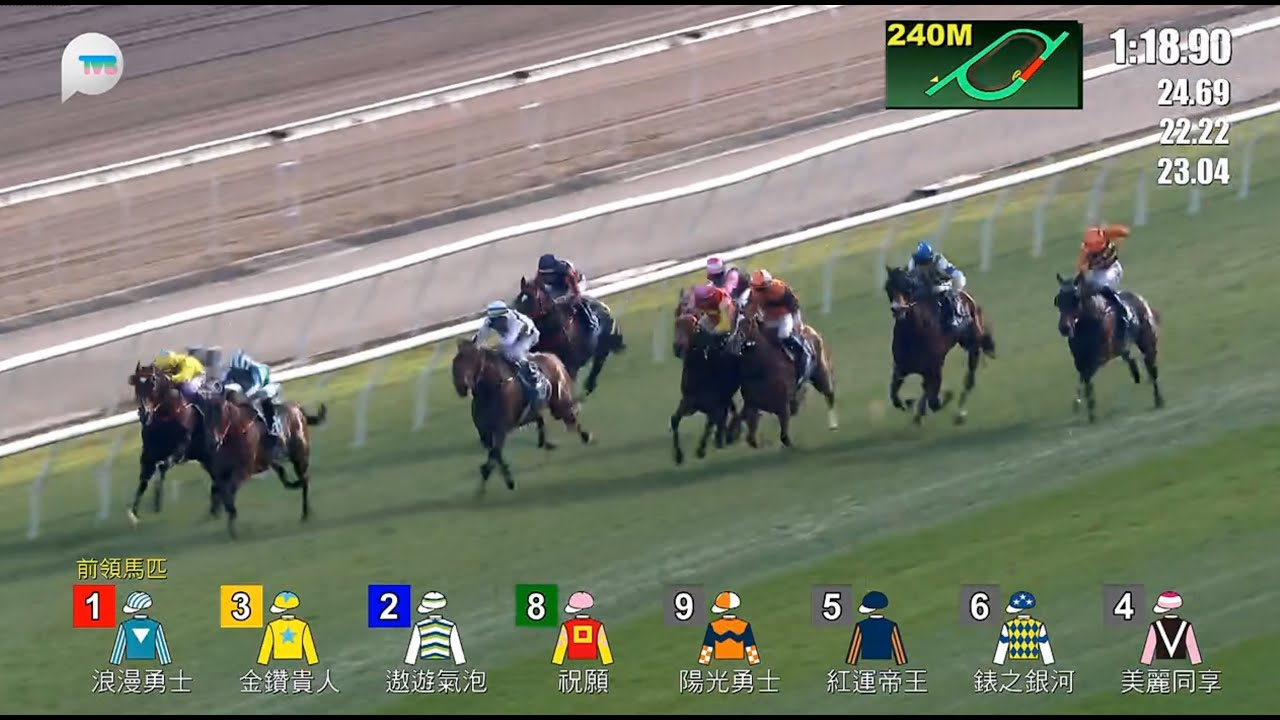 HKJC董事盃 Stewards’ Cup 一級賽 G1 1600m 2026-01-25 浪漫勇士 ROMANTIC WARRIOR 沙田馬場 Shatin Racecourse