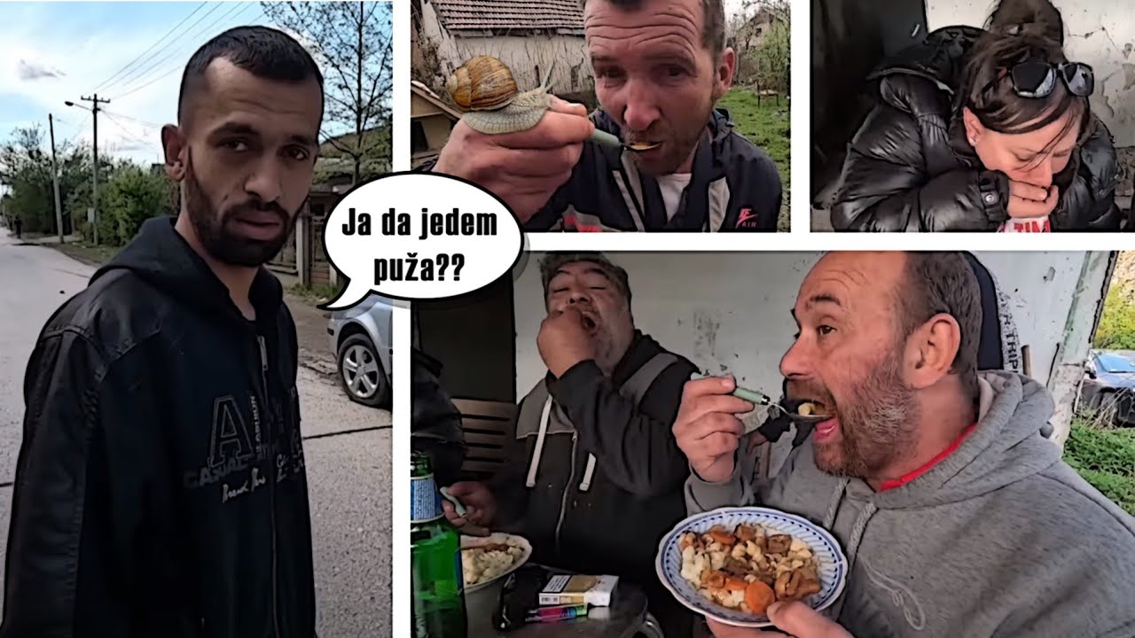 GULAS OD PUZEVA