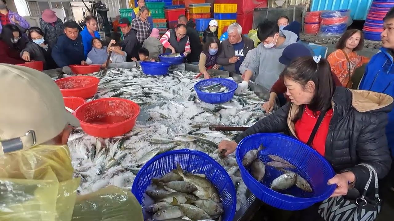 台灣漁港活絡景象：搶購新鮮漁獲的熱潮！漁販秤重手不停，只為顧客買到最划算海產！明發定置漁場 fish 4