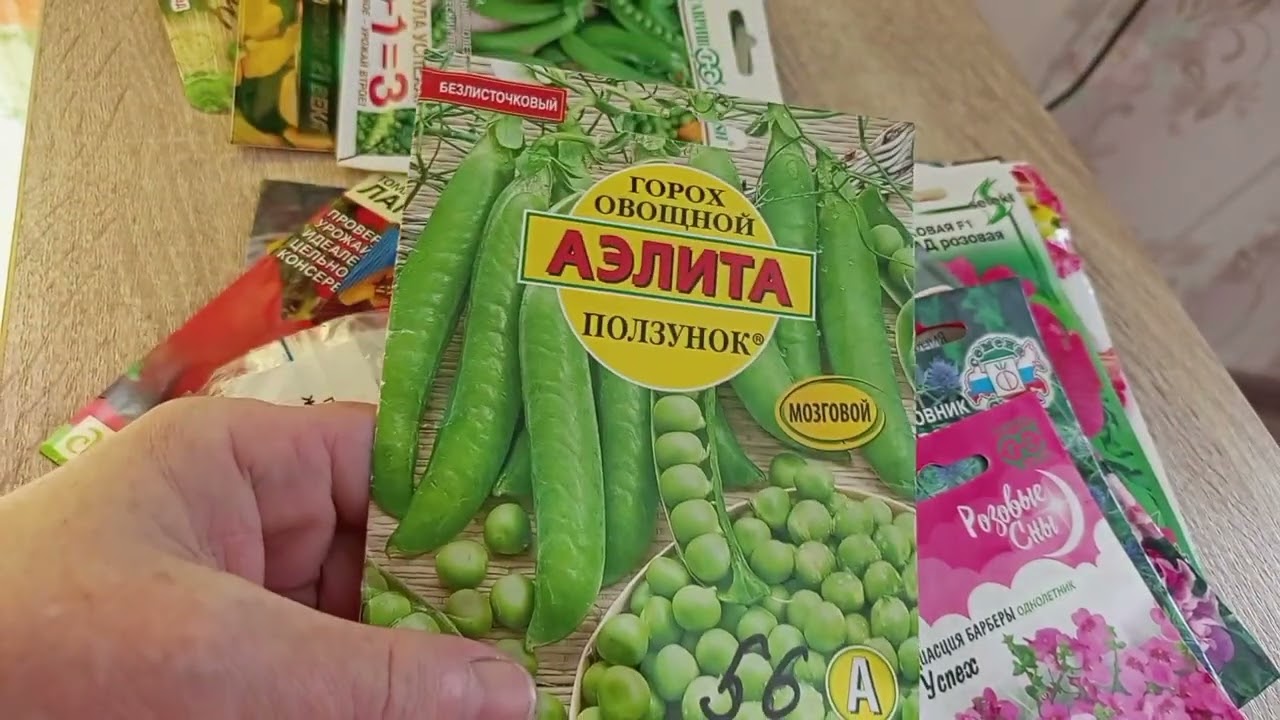 Докупила семена. О сроках посева. Что уже взошло из посеянного.