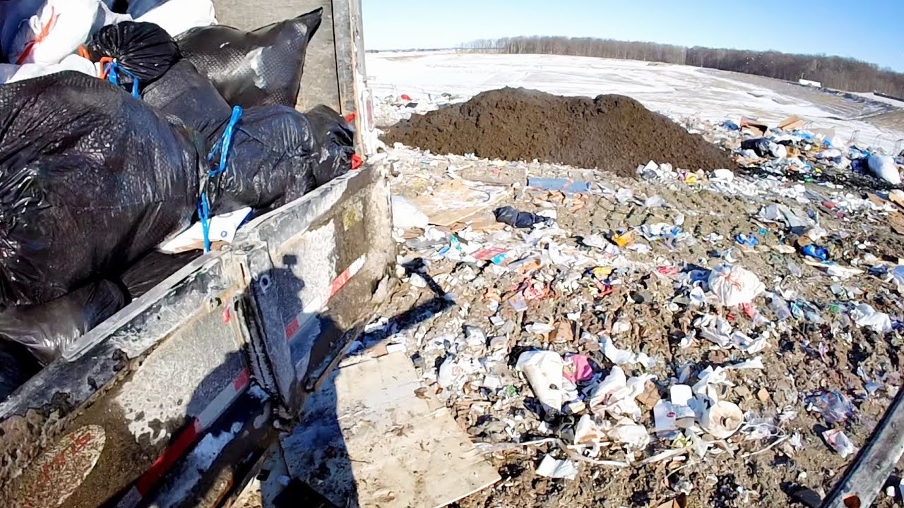 That's NOT a Pile of Dirt! 🤢