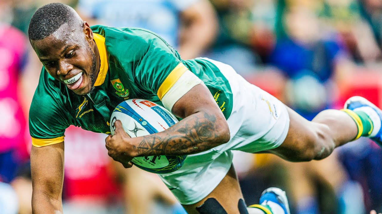 🔥 EVERY Aphelele Fassi TRY for the Springboks! | Ultimate Speed & Skill Compilation 🇿🇦