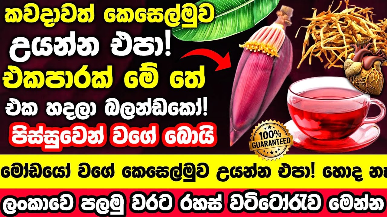 🔴අධි විටමින් සහිත 
