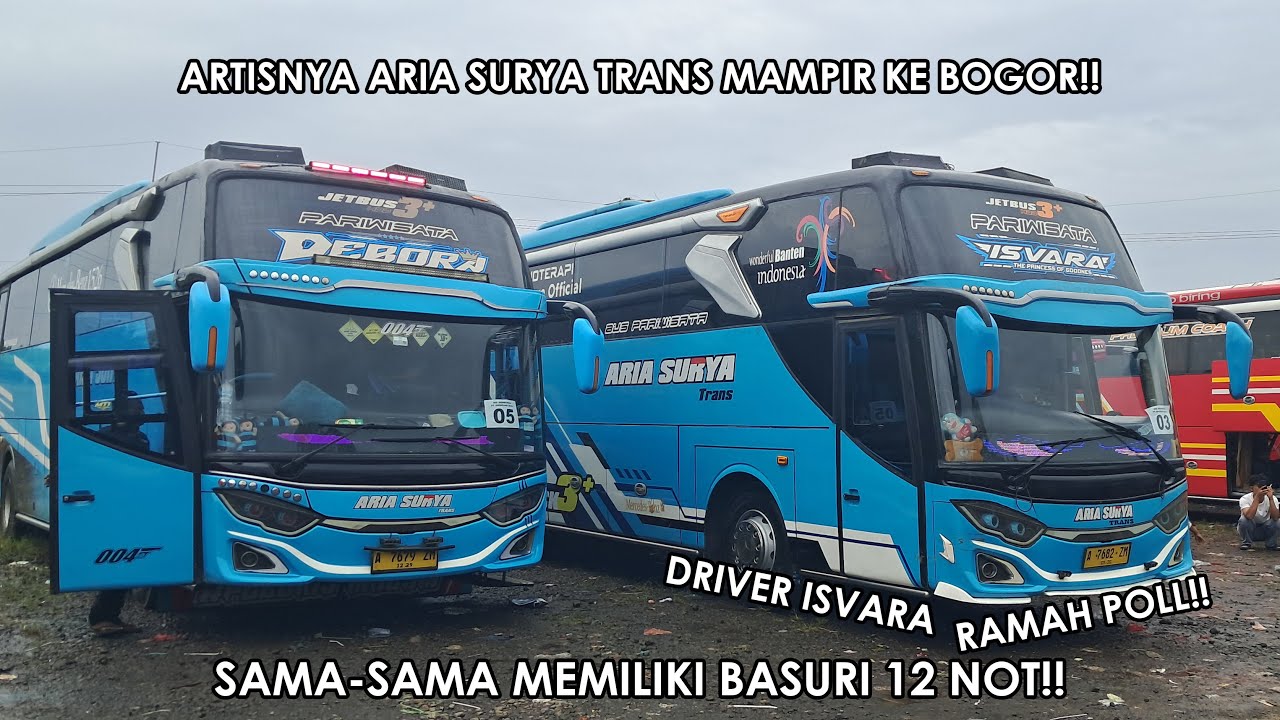 Artisnya Aria Surya bikin geger The Jungle BNR!! Aria Surya Trans gank, Sopirnya Ramah Poll!!