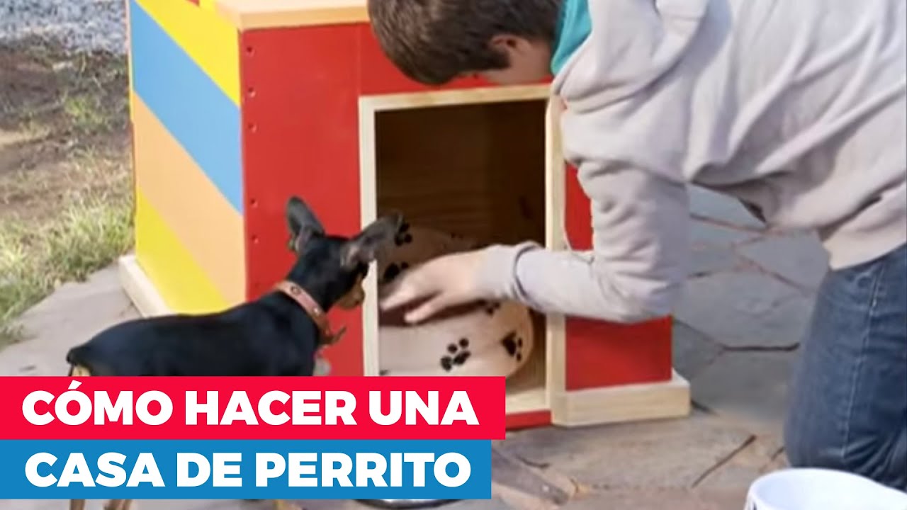 &iquest;C&oacute;mo hacer una casa de perro?