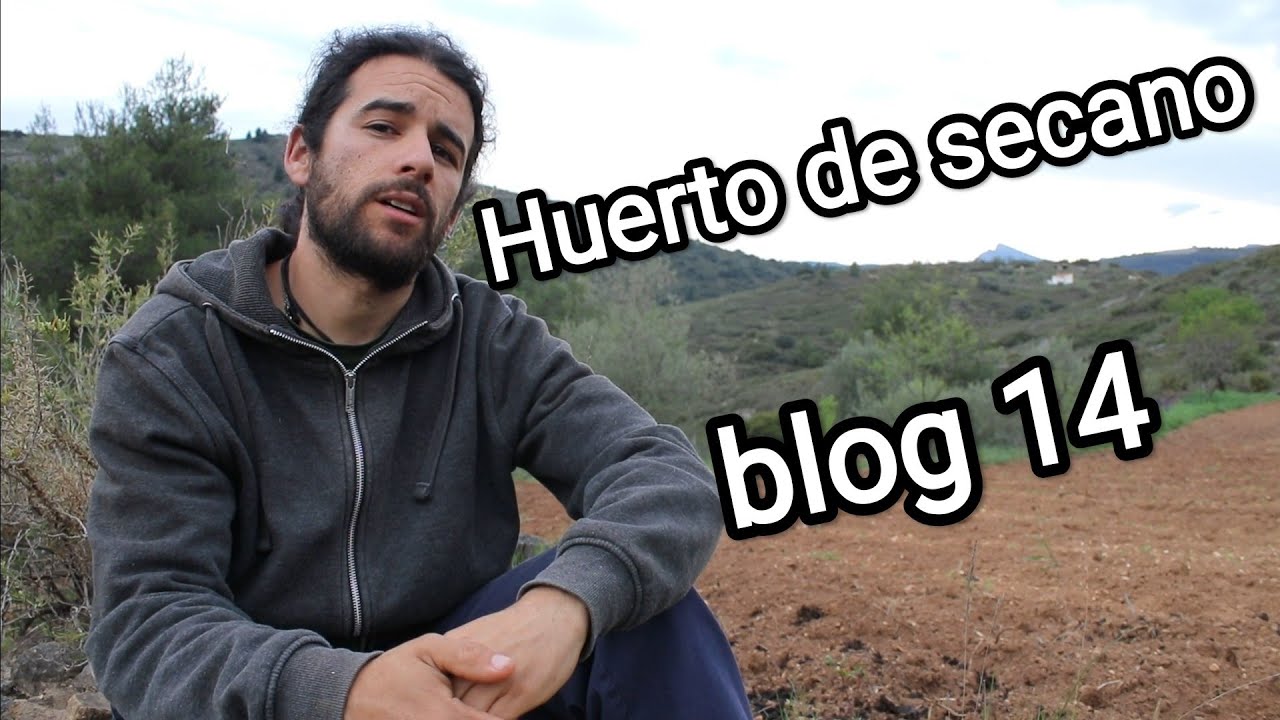Vlog 14 mantenimiento del huerto de secano
