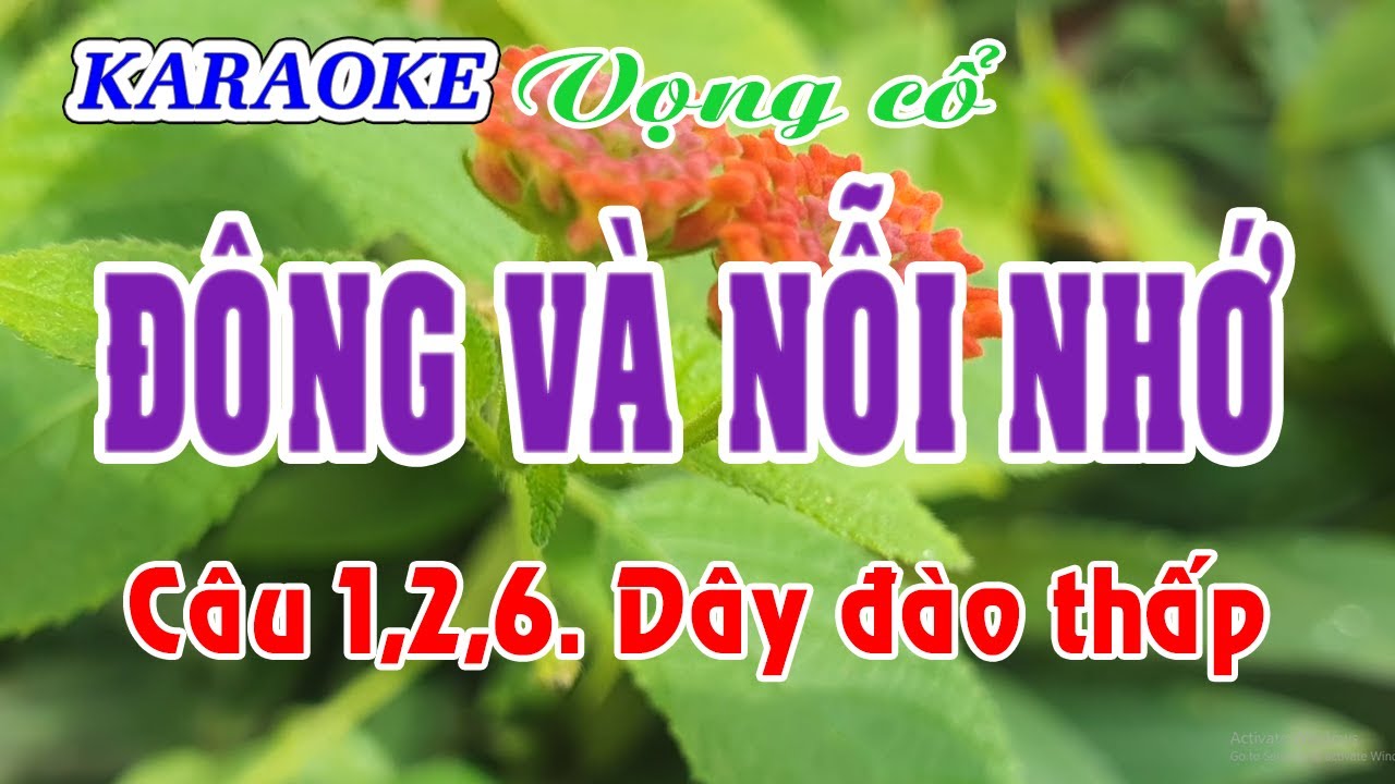 Karaoke _  Đông Và Nỗi Nhớ _  Tác giả - Nguyễn Nhanh _  Dây Đào Thấp