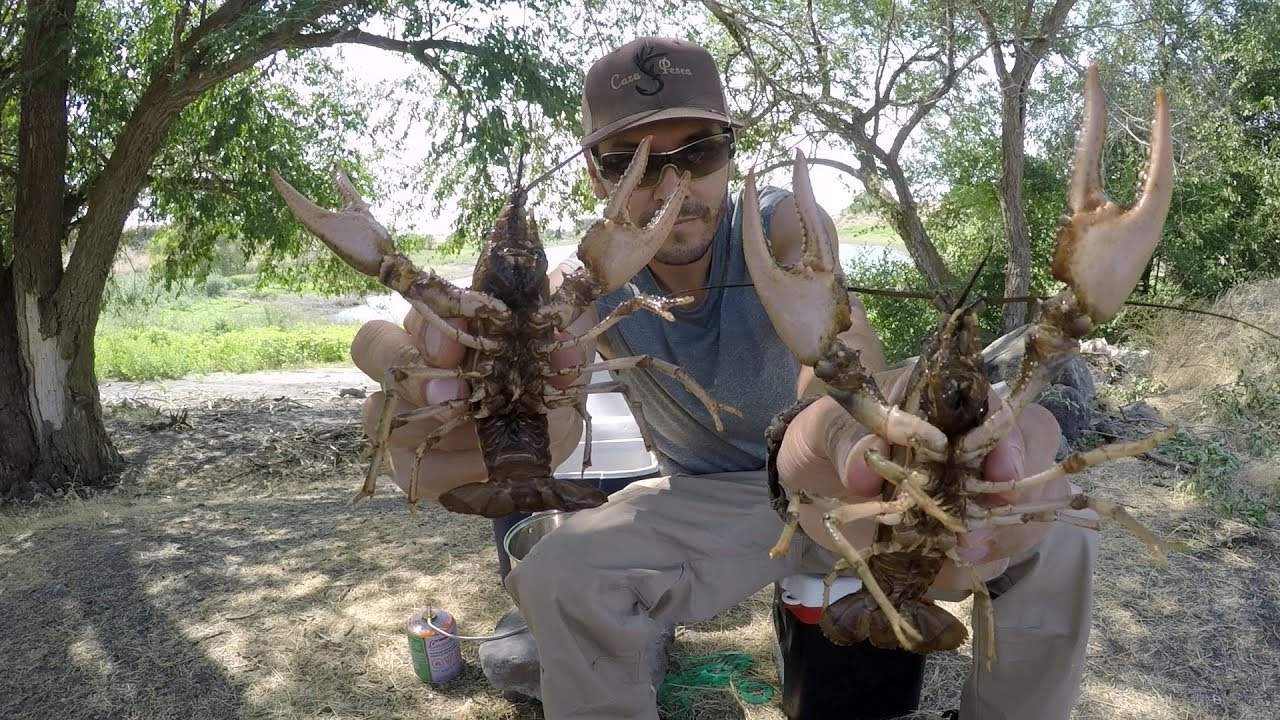 Cangrejos De Rio Con Cerbatana Y Trampa | Caza Y Pesca