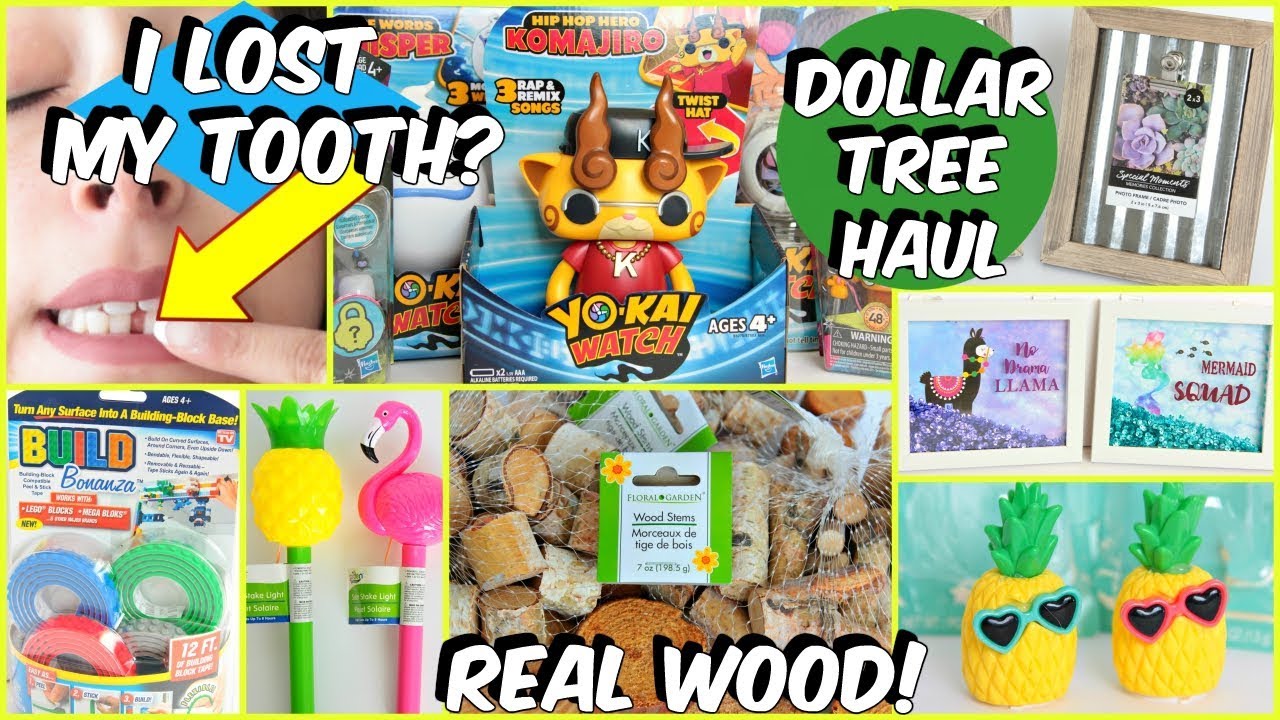 DOLLAR TREE HAUL MARCH 2019 MUST SEE NEW ITEMS