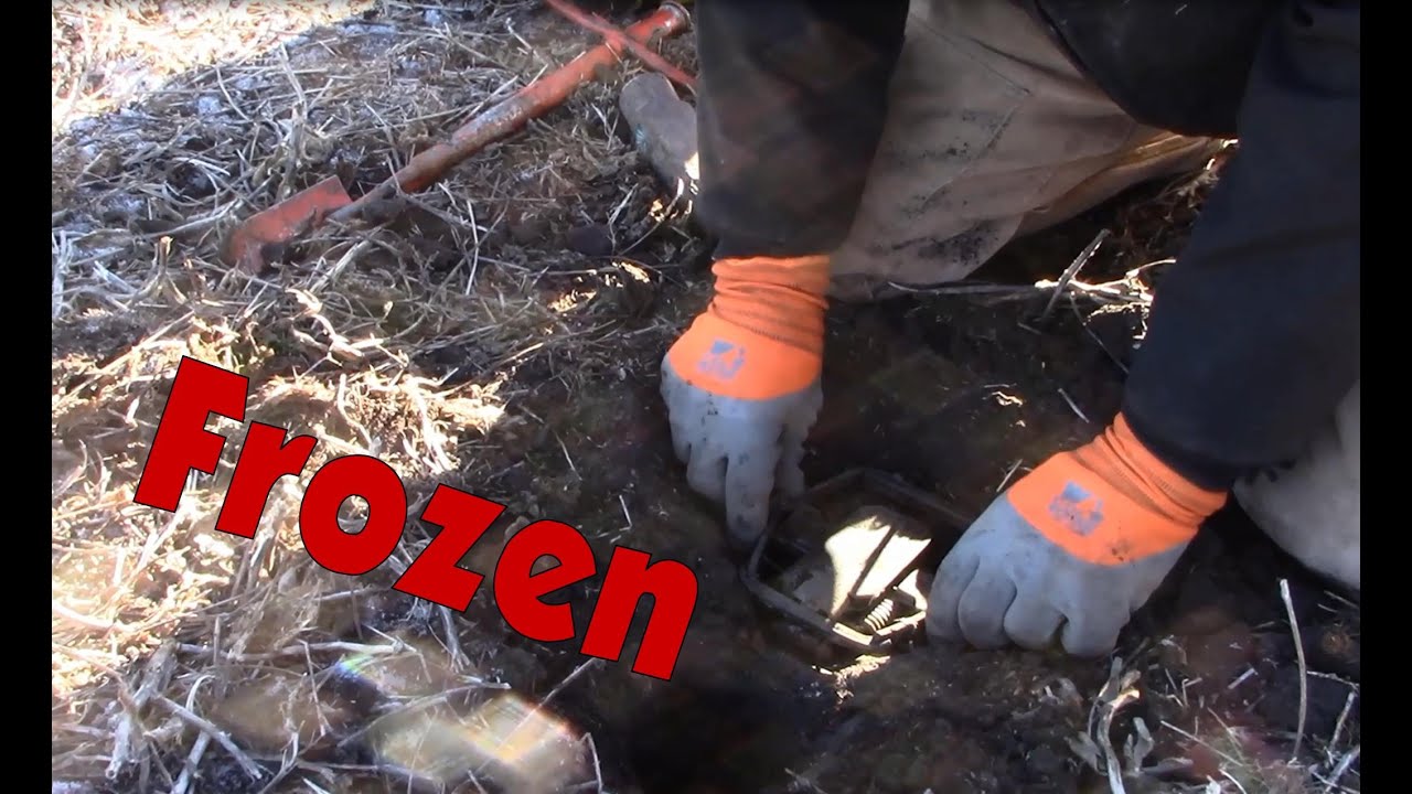 Dirt Hole Set in FROZEN ground