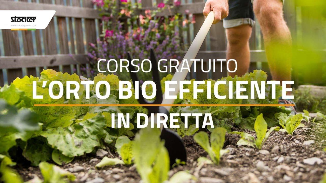 TRUCCHI, CONSIGLI PRATICI E DRITTE PER UN ORTO BIO PI&Ugrave; EFFICIENTE: SIAMO IN DIRETTA!
