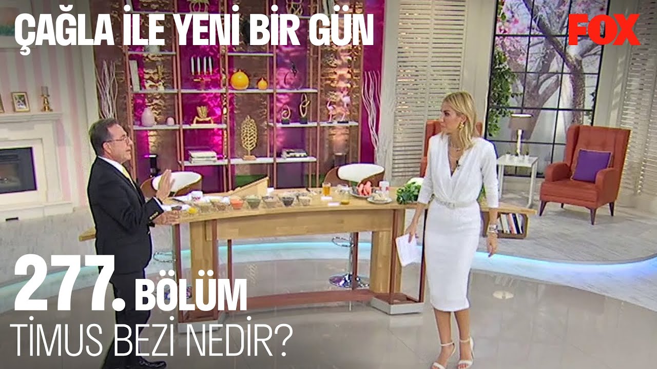 Timus bezi nedir? Çağla ile Yeni Bir Gün 277. Bölüm