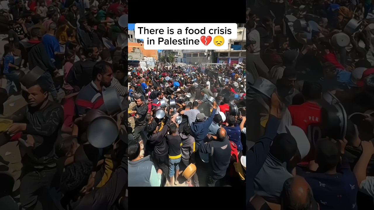 There is a food crisis in Palestine🥺💔 #foryou #viralvideo #palestine #gaza