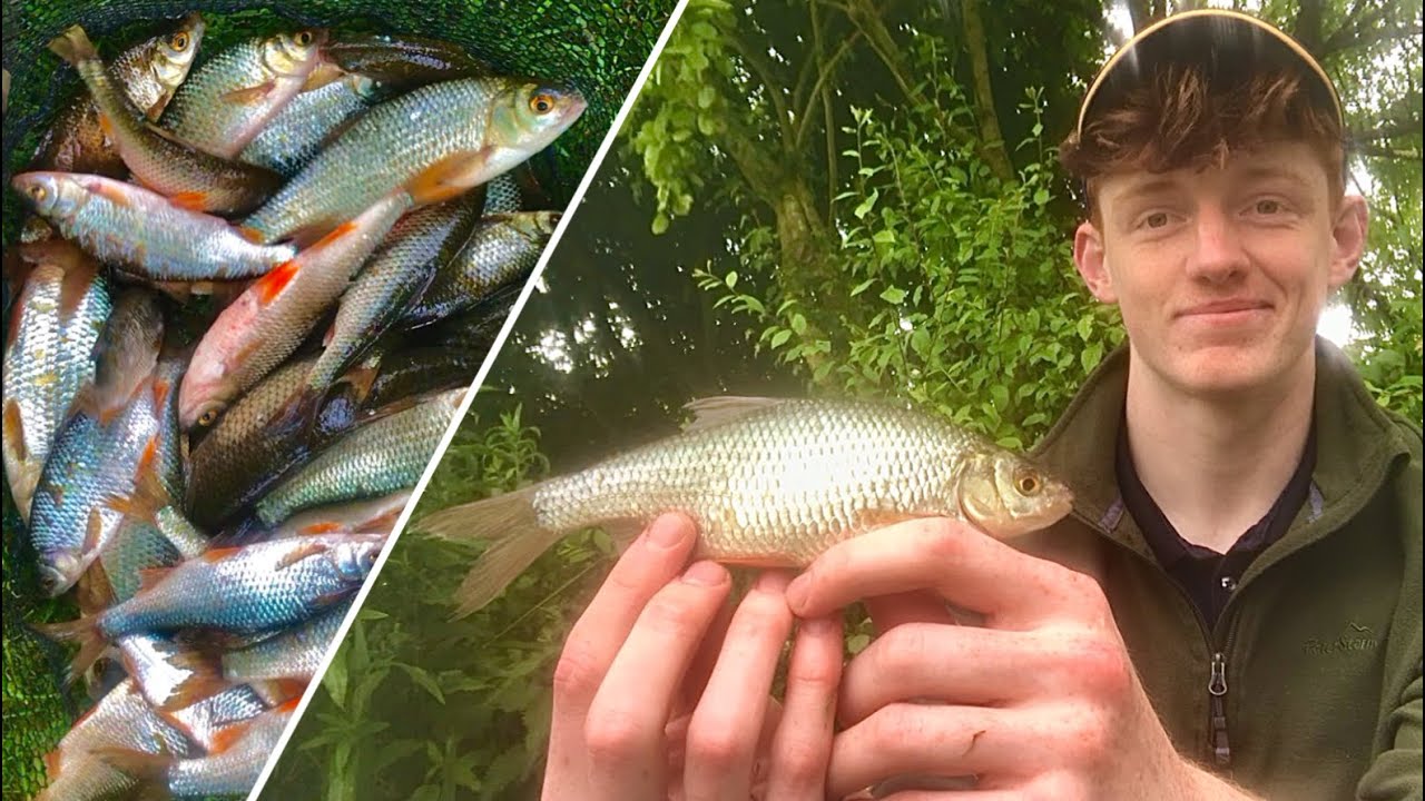 How to Catch Roach on the Waggler - Fishing Explained!