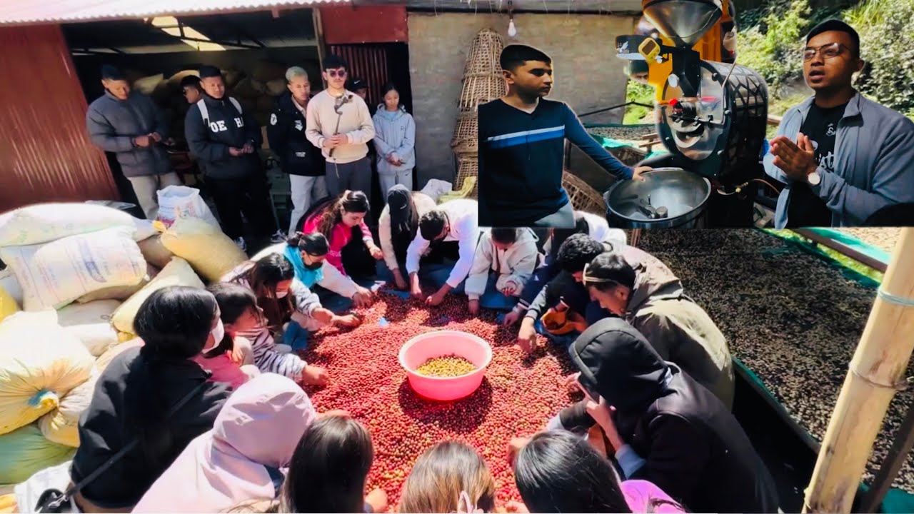 Syangja/ Coffee Farm & Roasting / Learn & Fun Together