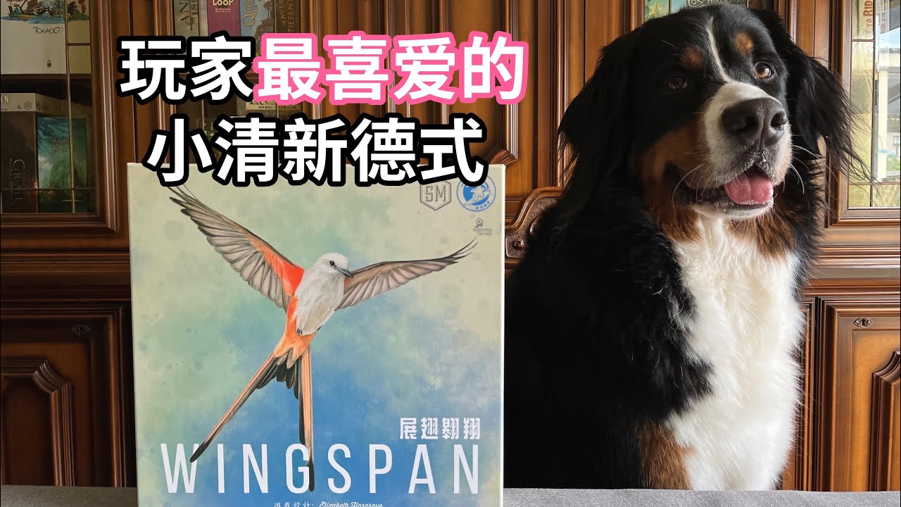 【夏天桌游】规则教学 Wingspan Board Game《展翅翱翔》How to play in 7 mins