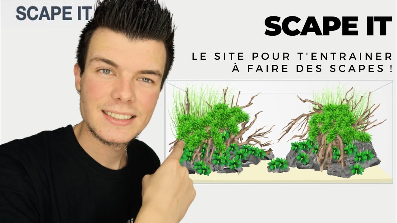AQUASCAPING: SCAPE IT Le site pour t'entrainer à faires des scapes !