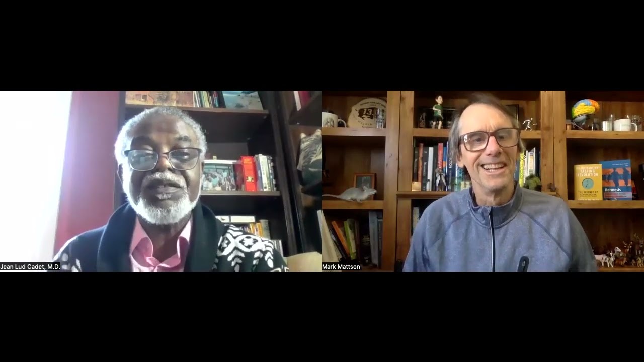 Pondering Methamphetamine’s Effects on the Brain with Jean Lud Cadet