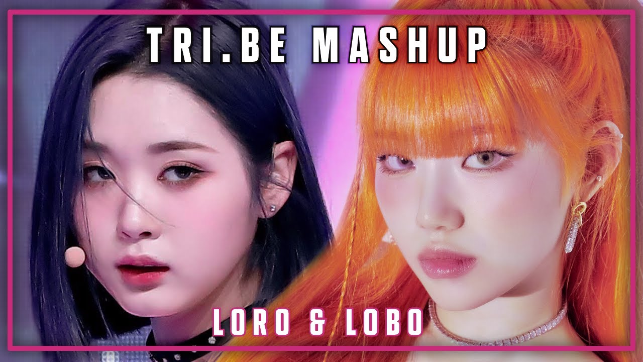 TRI.BE - LORO & LOBO Mashup
