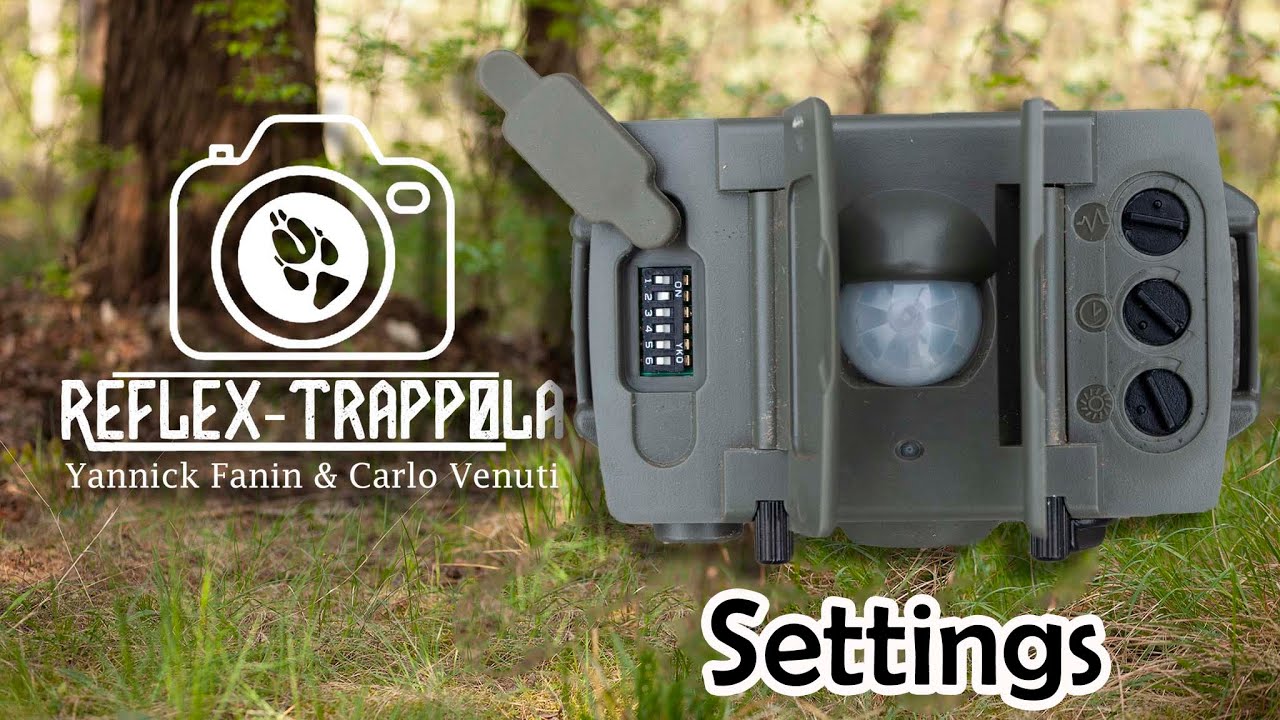 Fototrappolaggio Reflex: Episodio 2: I settaggi del sensore Camtraptions