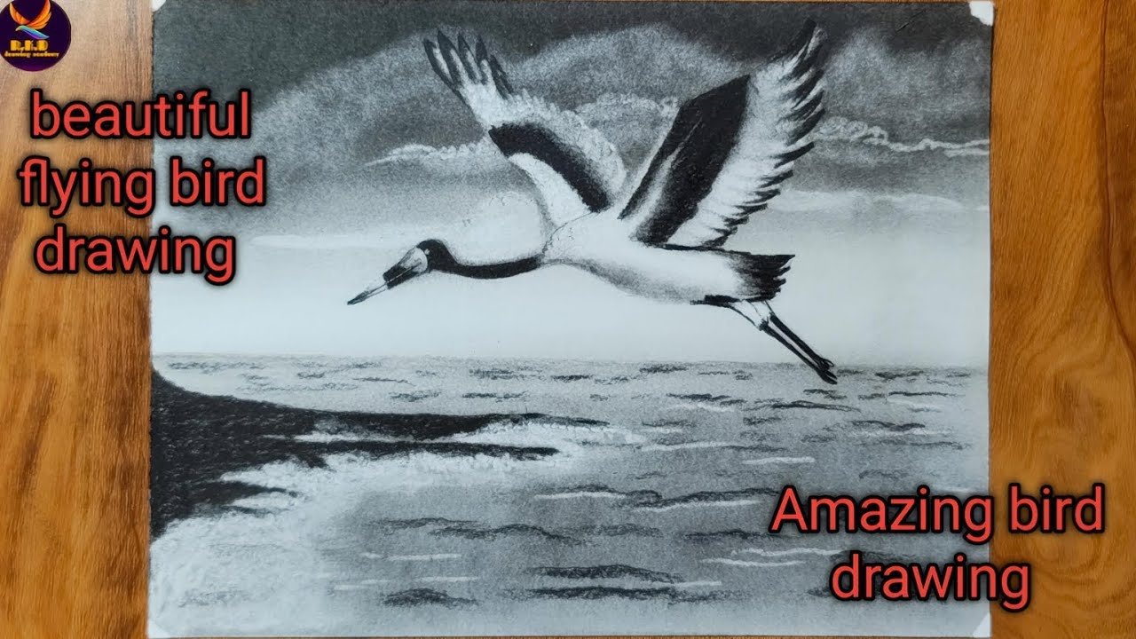 Bird flying over water drawing/ Realistic crane bird drawing 