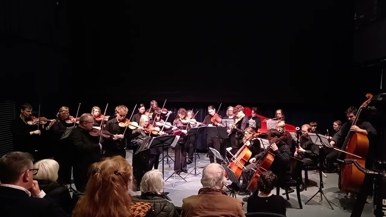 J. Haydn Symphony in C major No9 Allegro Molto