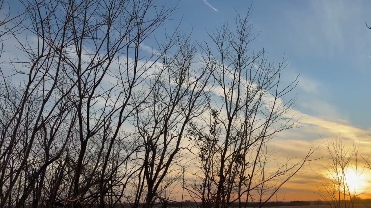 Sunset While Talking About Pliny the Elder