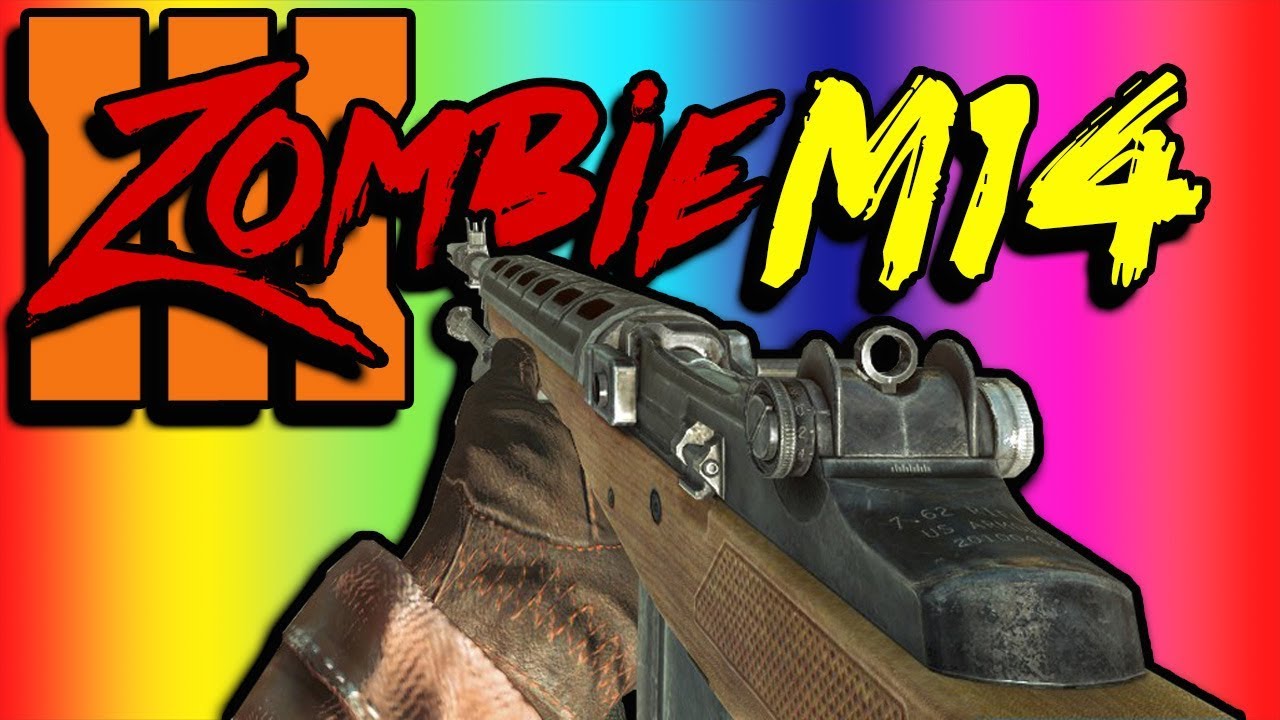 M14 ADDED To BO3 Zombies (Game Play)