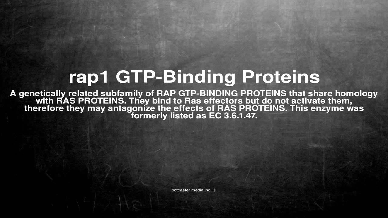 Medical vocabulary: What does rap1 GTP-Binding Proteins mean
