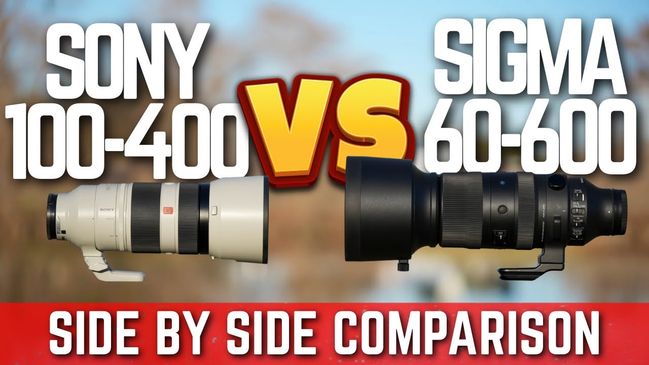 Sony 100-400mm GM vs Sigma 60-600mm side by side comparison