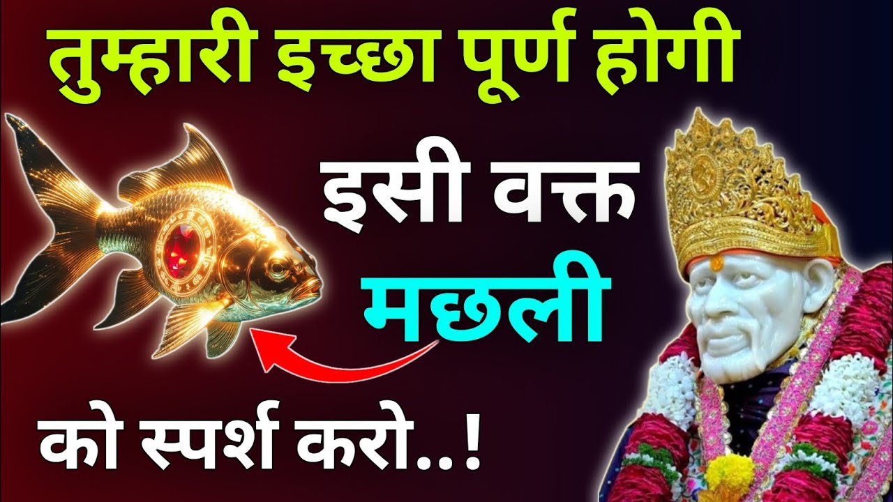 तुम्हारी इच्छा पूर्ण होगी इसी वक्त मछली को स्पर्श करो |Sai Updesh |Sai Vichar |Sai Vani |Sai Gyan 