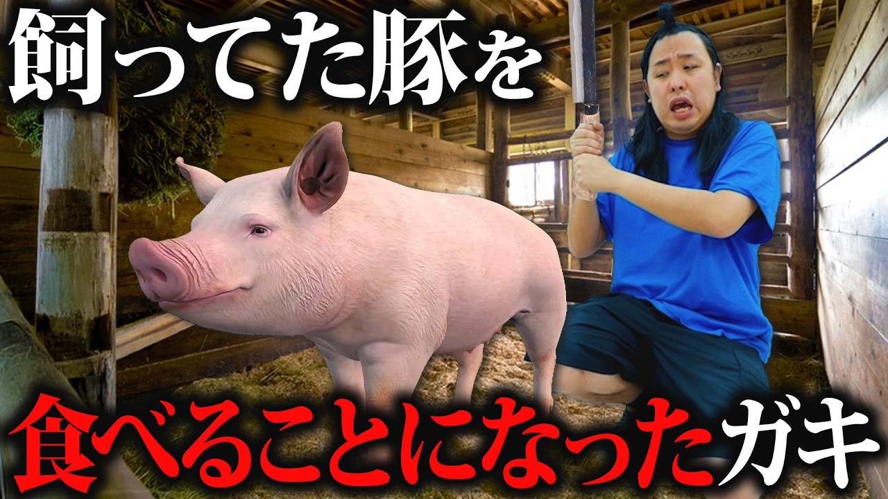 道徳の授業で飼ってた豚を食べることになった小学生