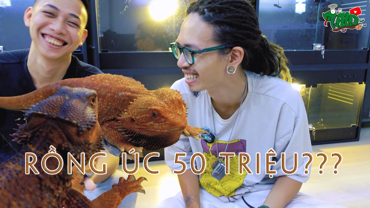 Rồng Úc 50 triệu ??? | WILDVN TV