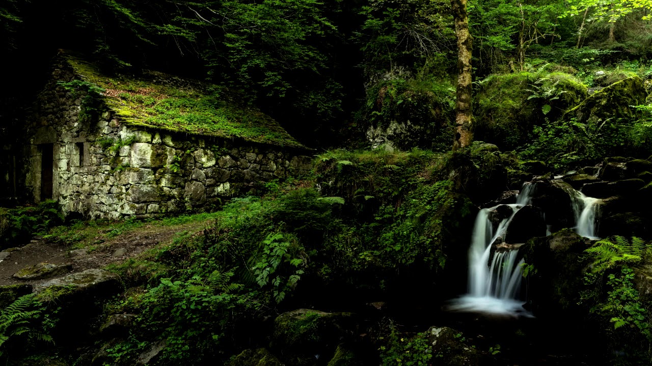 Sonidos de Grillos para Dormir Pensar Meditar Sonido Relajante 100% Real de la Naturaleza