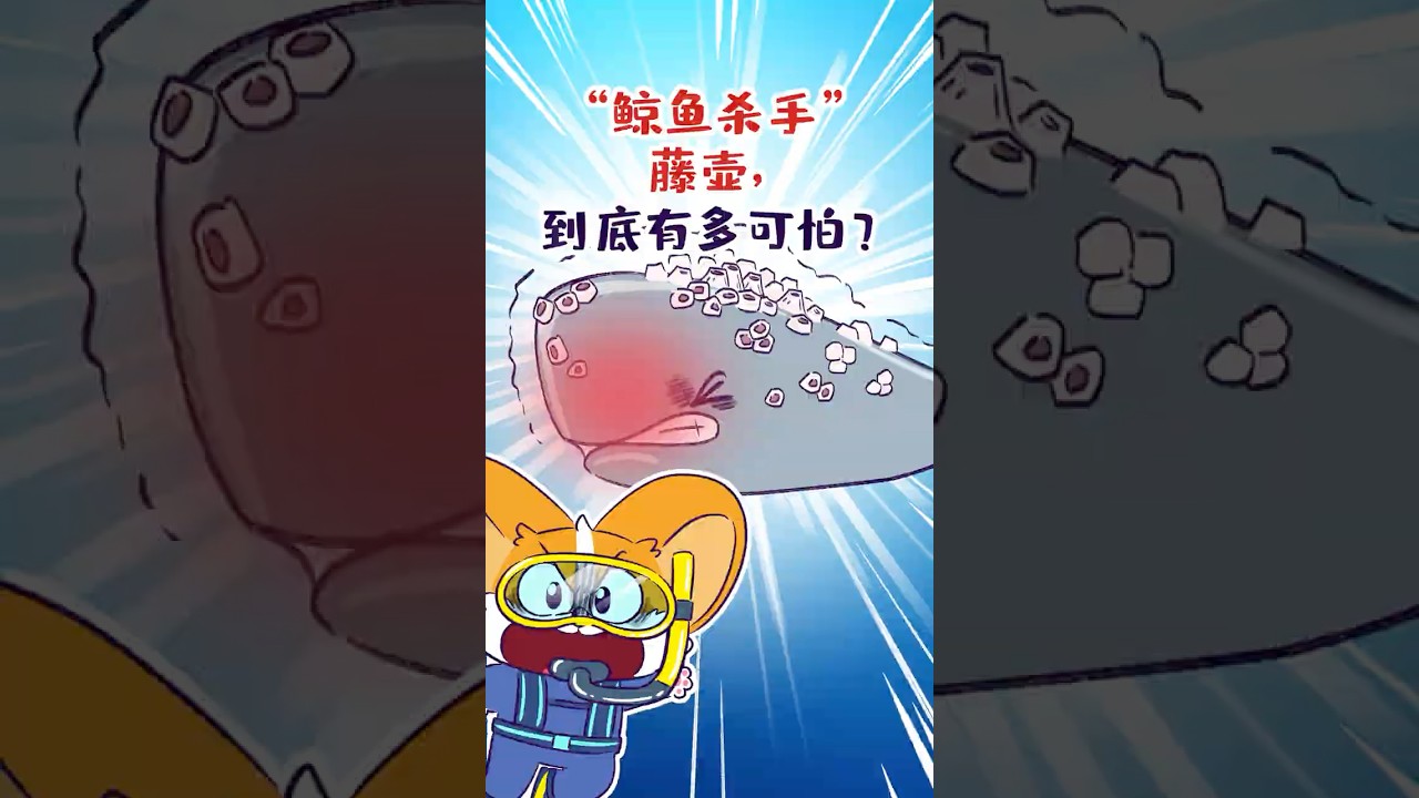 🐋&ldquo;鲸鱼杀手&rdquo;藤壶，到底有多可怕？！#shorts #藤壶 #我是小魔