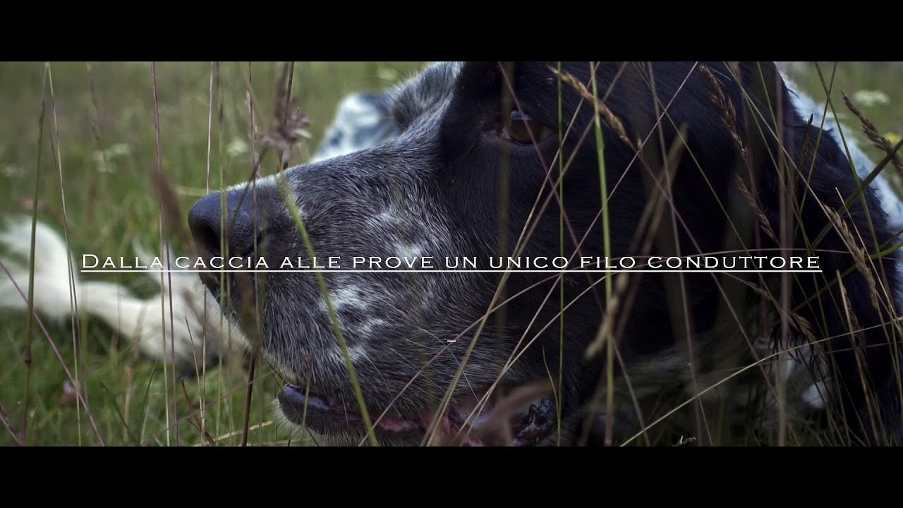 Dalla Caccia alle prove un unico filo conduttore 