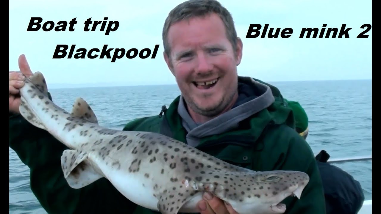 boat fishing blackpool on the blue mink 2