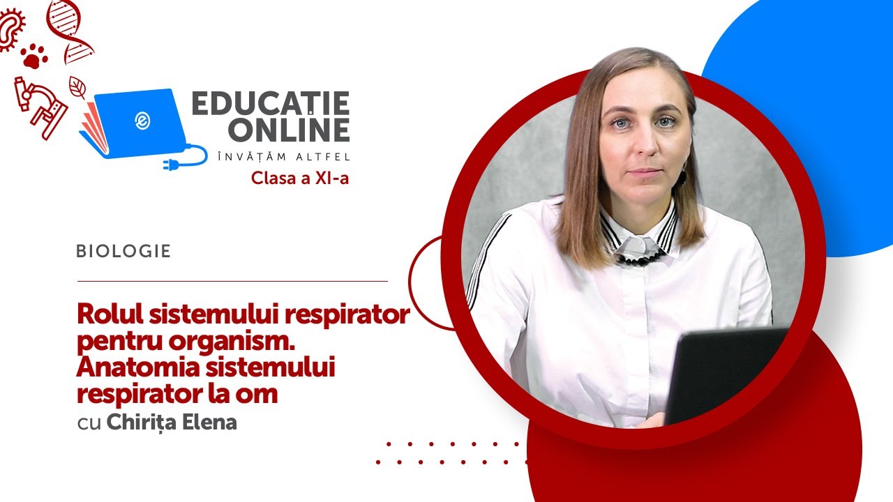 Biologie, Clasa a XI-a, Rolul sistemului respirator pentru organism. Anatomia sistemului...