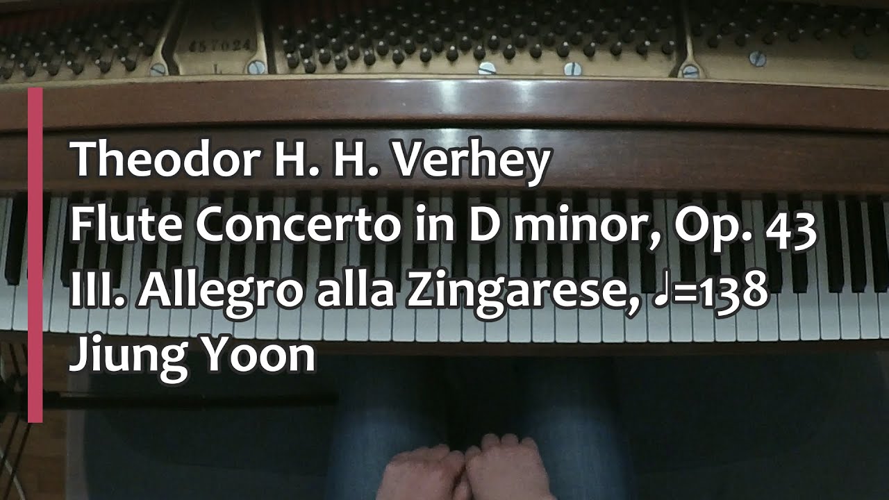 Piano Part - Theodor Verhey, Flute Concerto in D minor, Op. 43, III. Allegro alla Zingarese, ♩= 138
