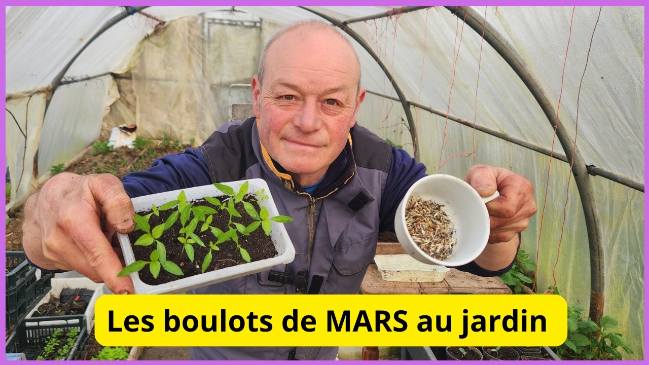 Debut MARS , il y a du boulot au jardin  avec Philippe !