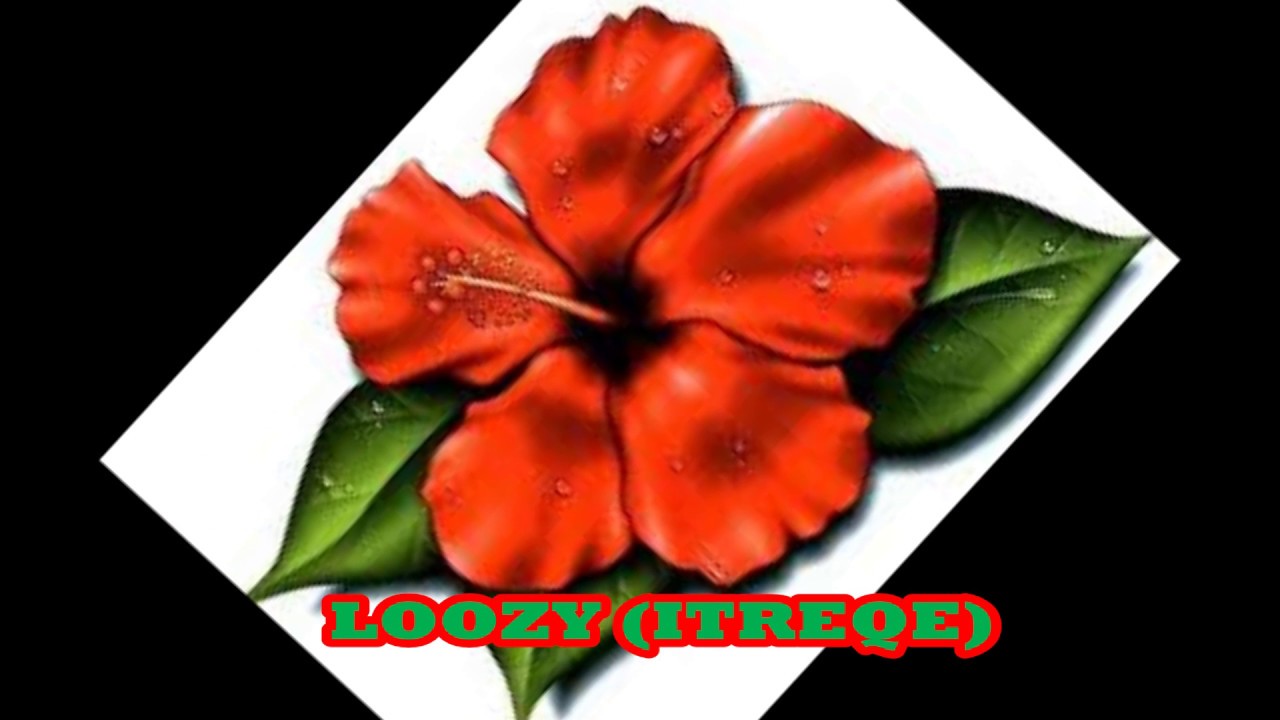 "Loozy" Itreqe