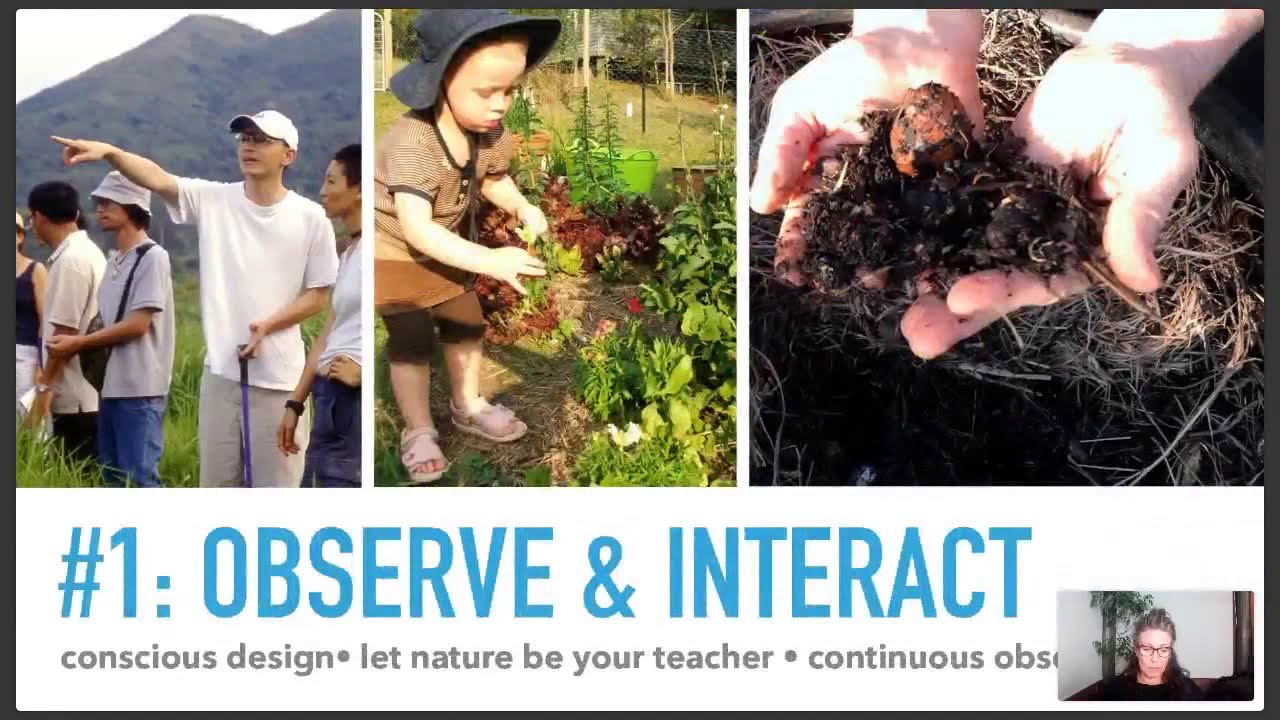 What are Permaculture Design Principles?