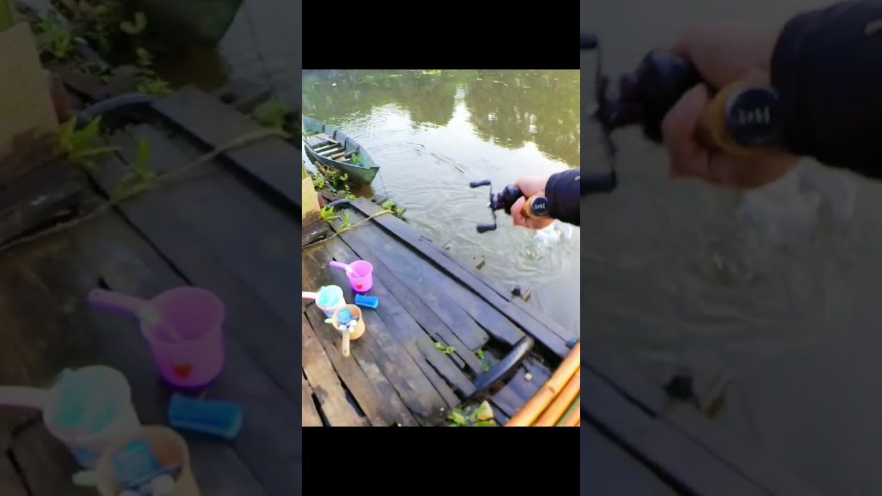 Sambaran top water ikan hampala !!