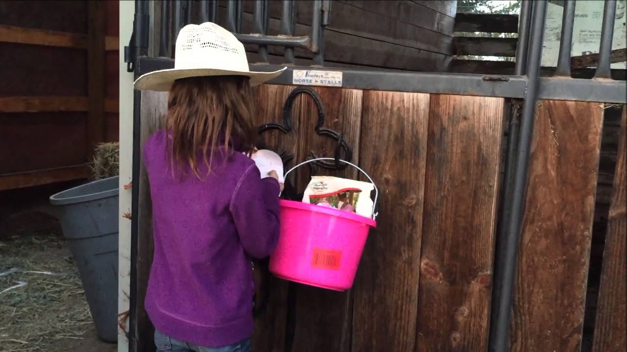 Isa's Cowgirl Christmas Surprise