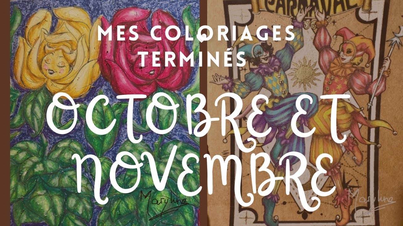 Mes colos terminés d’octobre et de novembre 