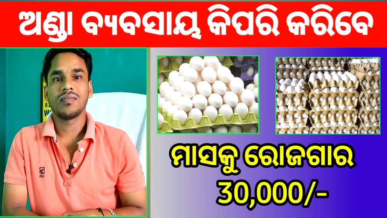 Egg Business in odia | Odia Business ideas | Egg Shop Open in odisha | Odia business