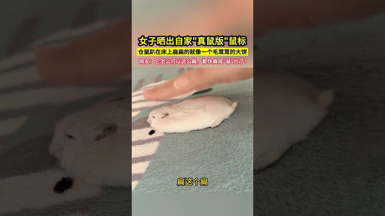 女子曬出自家
